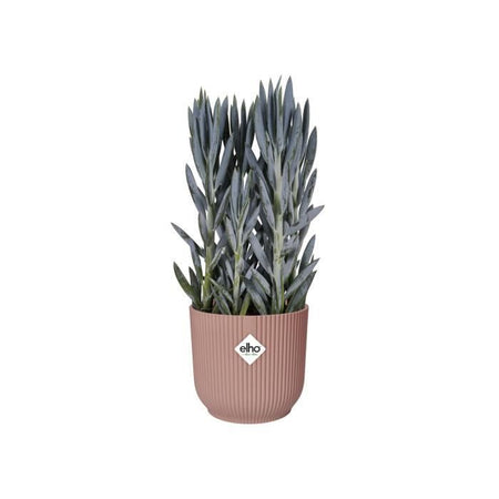ELHO Vibes Fold Vaso da fiori rotondo Wheels 35 - Rosa -  35 x H 32 cm - interno - 100% riciclato