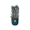 ELHO Vibes Fold Vaso da fiori rotondo Wheels 35 - Blu -  35 x H 32 cm - interno - 100% riciclato