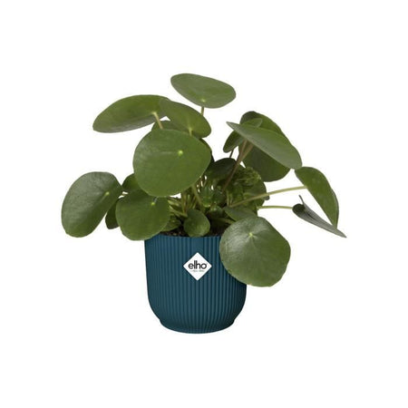ELHO Vibes Fold Vaso da fiori rotondo Wheels 35 - Blu -  35 x H 32 cm - interno - 100% riciclato