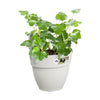 ELHO - Vaso da fiori - Vibia Campana Easy Hanger Small - Silk White - Balcone esterno - L 24,1 x P 20,5 x H 26,5 cm