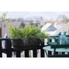 ELHO - Vaso da fiori - Greenville Easy Balcony 52 - Living Black - Balcone - L 21,2 x P 52 x H 19,4 cm