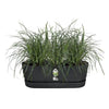 ELHO - Vaso da fiori - Greenville Easy Balcony 52 - Living Black - Balcone - L 21,2 x P 52 x H 19,4 cm