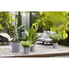 ELHO - Vaso da fiori - Greensense Aqua Care Round 30 - Cemento chiaro - Interno/esterno - 29,5 x H 29,1 cm