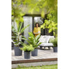 ELHO - Vaso da fiori - Greensense Aqua Care Round 35 - Grigio antracite - Interno/esterno -  34,5 x H 34,1 cm