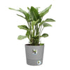 ELHO - Vaso da fiori - Greensense Aqua Care Round 43 - Cemento chiaro - Interno/esterno -  43 x H 42,5 cm