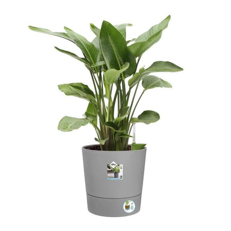 ELHO - Vaso da fiori - Greensense Aqua Care Round 43 - Cemento chiaro - Interno/esterno -  43 x H 42,5 cm
