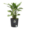Elho Greensense Aqua Care Round 43 - Grigio -  43 x H 43 cm - interno/esterno - 100% riciclato
