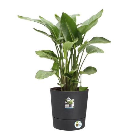 Elho Greensense Aqua Care Round 43 - Grigio -  43 x H 43 cm - interno/esterno - 100% riciclato