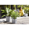 ELHO - Vaso da fiori - Greensense Aqua Care Square 30 - Cemento chiaro - Interno/esterno -  29,5 x H 30,2 cm