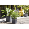 ELHO - Vaso da fiori - Greensense Aqua Care Square 30 - Grigio antracite - Interno/esterno -  29,5 x H 30,2 cm