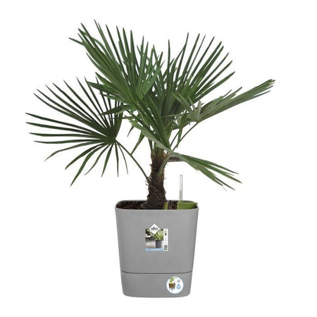 ELHO - Vaso da fiori - Greensense Aqua Care Square 38 - Cemento chiaro - Interno/esterno -  38 x H 38,9 cm