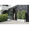 Fioriera Elho Vivo Next Square 40 - Bianco -  39 x H 38 cm - da interno/esterno - 100% riciclato