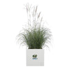 Fioriera Elho Vivo Next Square 40 - Bianco -  39 x H 38 cm - da interno/esterno - 100% riciclato