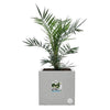 Fioriera Elho Vivo Next Square 40 - Grigio - 39 x H 38 cm - da interno/esterno - 100% riciclato