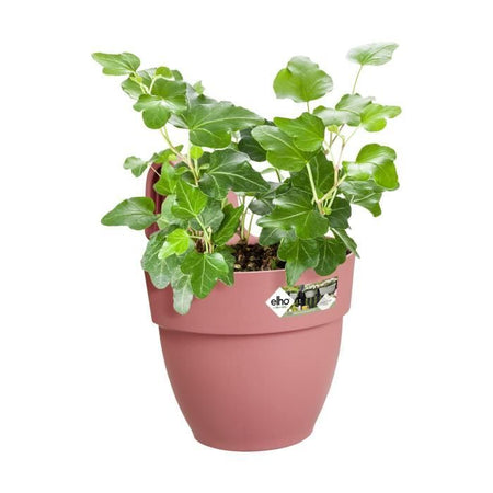 ELHO - Vaso da fiori - Vibia Campana Easy Hanger Small - Dusty Rose - Balcone esterno - L 24,1 x P 20,5 x H 26,5 cm