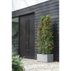 Elho Vivo Next Long 80 Fioriera - Grigio - L 78 x P 39 x H 38 cm - interno/esterno - 100% riciclato