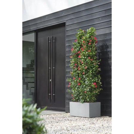 Elho Vivo Next Long 80 Fioriera - Grigio - L 78 x P 39 x H 38 cm - interno/esterno - 100% riciclato