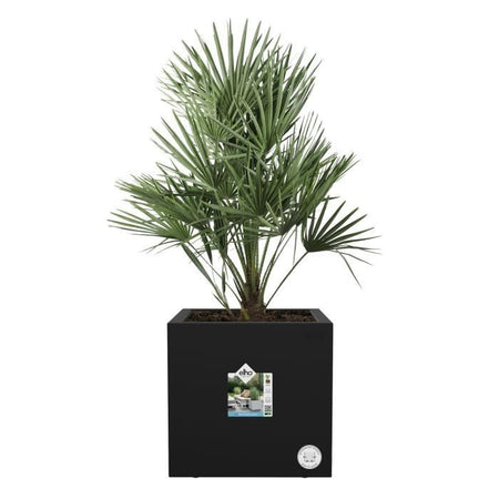 Elho Vivo Next Square 30 Fioriera - Nero -  30 x H 29 cm - da interno/esterno - 100% riciclato