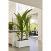 Elho Vivo Next Long 60 Fioriera - Bianco - L 59 x P 30 x H 29 cm - interno/esterno - 100% riciclato