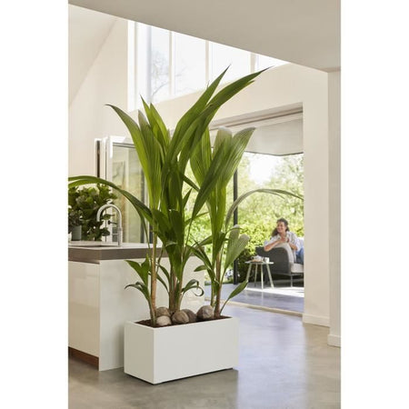 Elho Vivo Next Long 60 Fioriera - Bianco - L 59 x P 30 x H 29 cm - interno/esterno - 100% riciclato