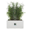 Elho Vivo Next Long 60 Fioriera - Bianco - L 59 x P 30 x H 29 cm - interno/esterno - 100% riciclato