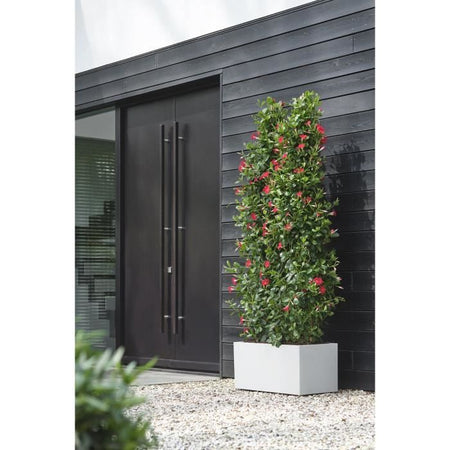 Elho Vivo Next Long 60 Fioriera - Bianco - L 59 x P 30 x H 29 cm - interno/esterno - 100% riciclato
