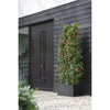 Elho Vivo Next Long 60 Fioriera - Nero - L 59 x P 30 x H 29 cm - interno/esterno - 100% riciclato