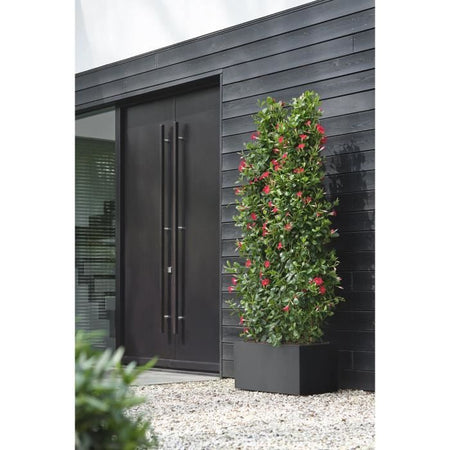 Elho Vivo Next Long 60 Fioriera - Nero - L 59 x P 30 x H 29 cm - interno/esterno - 100% riciclato