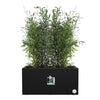 Elho Vivo Next Long 60 Fioriera - Nero - L 59 x P 30 x H 29 cm - interno/esterno - 100% riciclato