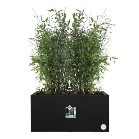 Elho Vivo Next Long 60 Fioriera - Nero - L 59 x P 30 x H 29 cm - interno/esterno - 100% riciclato