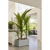 Elho Vivo Next Long 60 Fioriera - Grigio - L 59 x P 30 x H 29 cm - interno/esterno - 100% riciclato