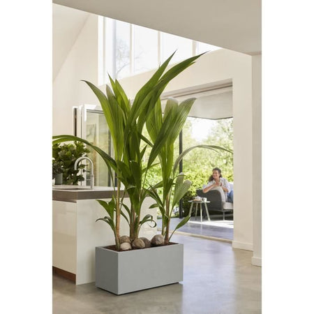 Elho Vivo Next Long 60 Fioriera - Grigio - L 59 x P 30 x H 29 cm - interno/esterno - 100% riciclato