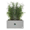 Elho Vivo Next Long 60 Fioriera - Grigio - L 59 x P 30 x H 29 cm - interno/esterno - 100% riciclato