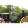 ELHO - Vaso da fiori - Vibia Campana Easy Hanger Medium - Verde pistacchio - Balcone esterno - L 24,1 x P 36 x H 26,5 cm