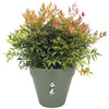 Loft Urban Round Flower Pot - Plastic - Percé - Tank - con ruote - 40 - verde