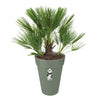 Vaso da fiori ELHO Loft Urban Round High 35 - Verde -  34 x H 45 cm - per esterno - 100% riciclato