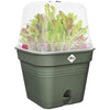 Pentola di fiori quadrati di base verde - plastica - serbatoio - 20 - verde foglia