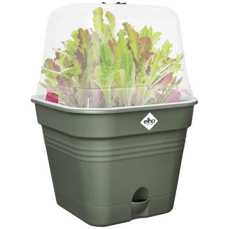 Pentola di fiori quadrati di base verde - plastica - serbatoio - 20 - verde foglia