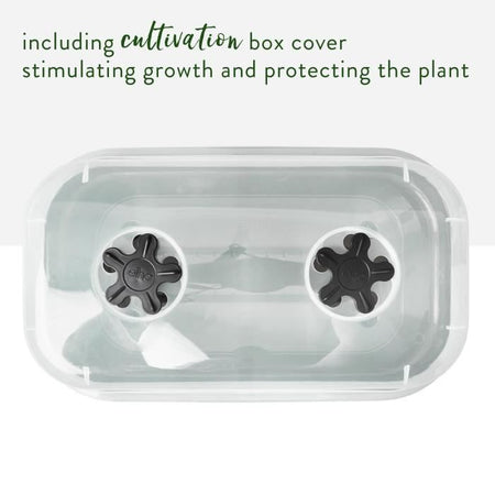 Vassoio per coltivazione ELHO Green Basics Allin1 L - Nero - L 39 x P 23 x H 15 cm - coltivazione e raccolta - 100% riciclato