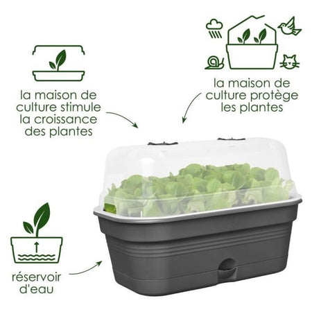 Vassoio per coltivazione ELHO Green Basics Allin1 L - Nero - L 39 x P 23 x H 15 cm - coltivazione e raccolta - 100% riciclato
