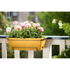 Elho Barcelona Balconier Allin1 50 - Giallo - L 50 x P 28 x H 19 cm - Balcone esterno - 100% riciclato