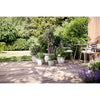 Vaso per fiori - ELHO - Amiga Round 25 - Bianco - L 25 x P 24,5 x H 18 cm - Esterno - 100% riciclato