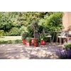 Vaso per fiori - ELHO - Amiga Round 25 - Rosso - L 25 x P 24,5 x H 18 cm - Esterno - 100% riciclato
