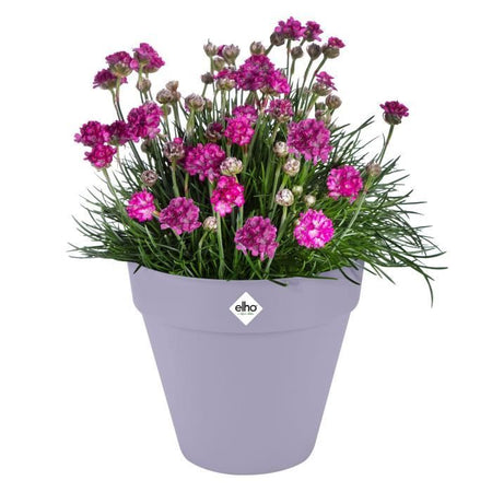 Vaso da fiori - Elho - Loft Urban Round - Ruote 40 - Viola - L 39 x P 38,5 x A 35 cm - Esterno - 100% riciclato