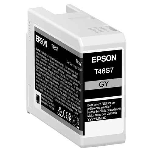 Epson Cartuccia Grigio Ultrachrome Pro 10 Ink 25Ml