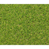 Erba sintetica EXELGREEN CAMPUS 2D - 1x5m - Spessore 25mm