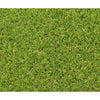 Erba sintetica EXELGREEN CAMPUS 2D - 1x5m - Spessore 25mm
