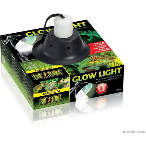 Glow supporto della luce di illuminazione