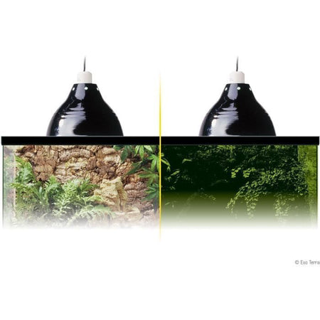 Glow supporto della luce di illuminazione