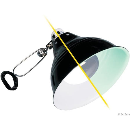 Glow supporto della luce di illuminazione